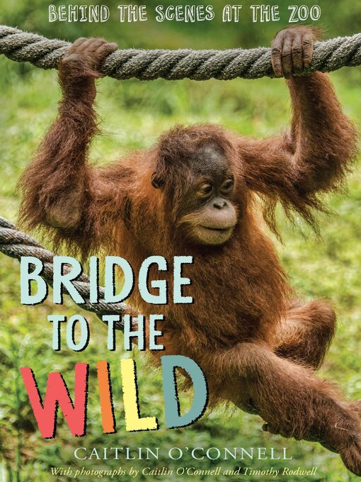 Title details for Bridge to the Wild by Caitlin O'Connell - Available